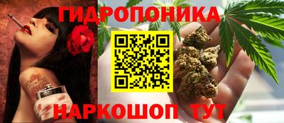 стаф Партизанск