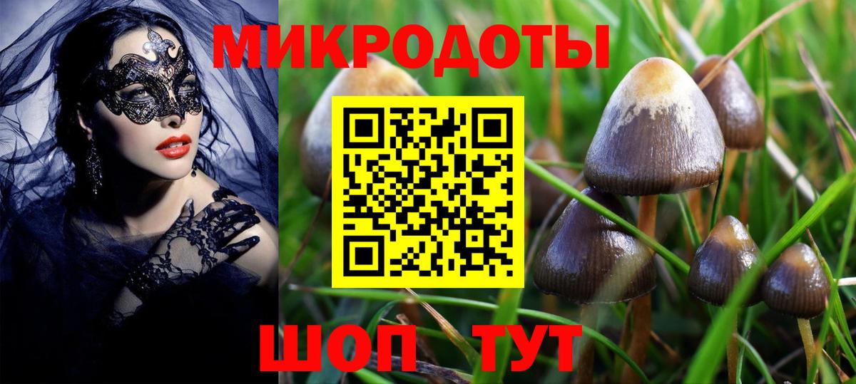 Галлюциногенные грибы прущие грибы Черняховск