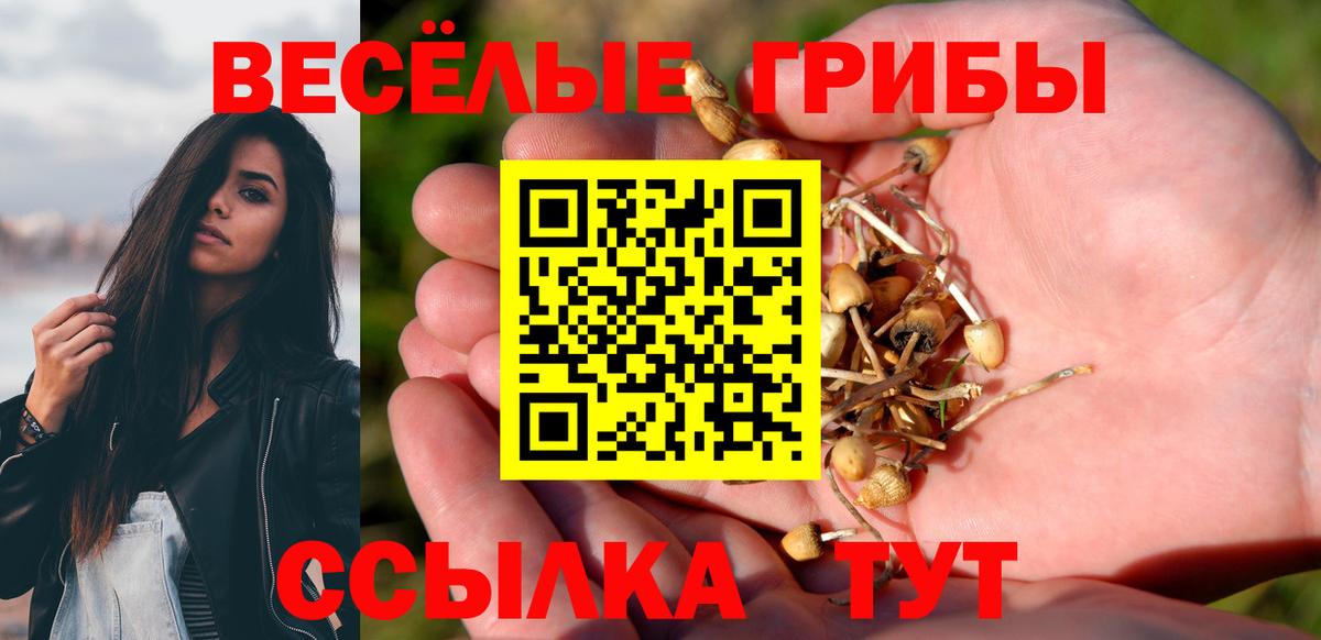 купить  цена  Вход с VPN  Галлюциногенные грибы MAGIC MUSHROOMS  Черняховск  Псилоцибиновые грибы ЛСД 